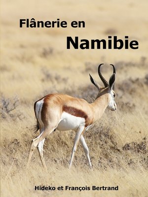 cover image of Flânerie en Namibie